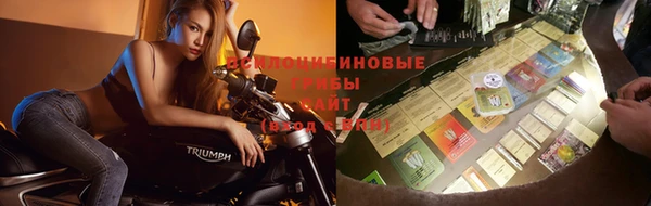 таблы Алексин