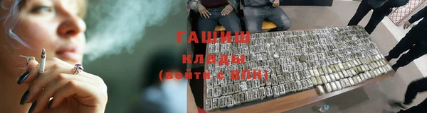 apvp Алзамай