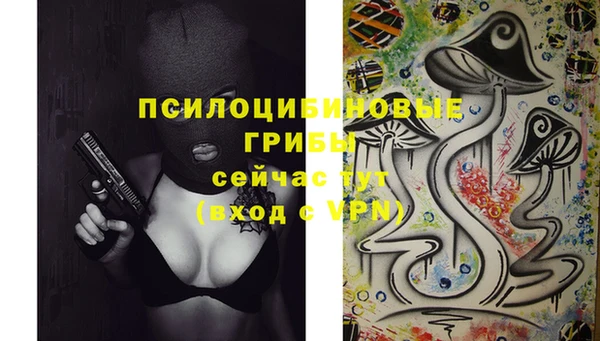 apvp Алзамай