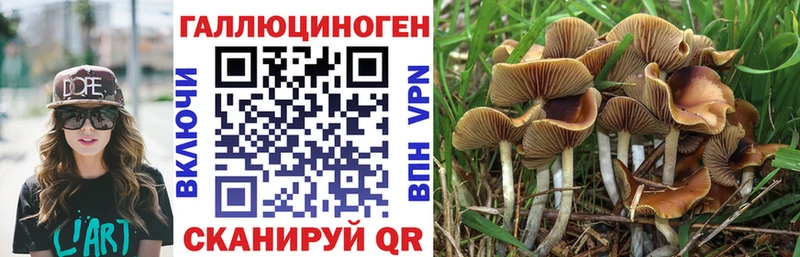 где можно купить наркотик Аргун ОМГ ОМГ вход Галлюциногенные грибы ЛСД